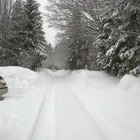 Chalet Kuca Za Odmor Ravno Bribir (Primorje-Gorski Kotar)